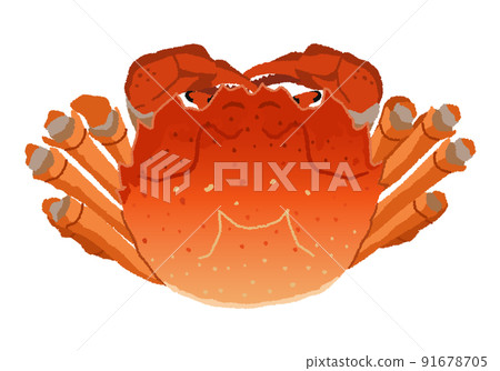 上海蟹(上海蟹)圖解 上海蟹(上海蟹)圖解 91678705