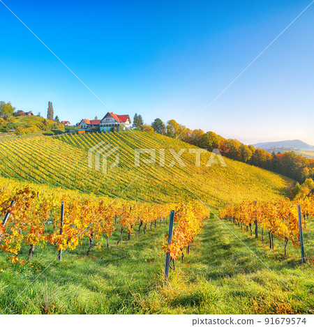 Breathtaking vineyards landscape in South Styria near Gamlitz. Breathtaking vineyards landscape in South Styria near Gamlitz. 91679574