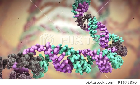 DNA is under constant attack from reactive chemicals and natural radiation DNA is under constant attack from reactive chemicals and natural radiation 91679850