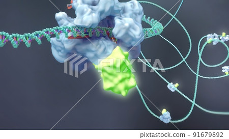 DNA chain surrounded and attacked by the virus. DNA chain surrounded and attacked by the virus. 91679892