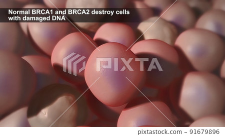 Defects due to DNA damage lead to tumor and cancer formation and death of healthy cells. 91679896