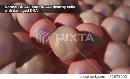 Defects due to DNA damage lead to tumor and cancer formation and death of healthy cells. Defects due to DNA damage lead to tumor and cancer formation and death of healthy cells. 91679900