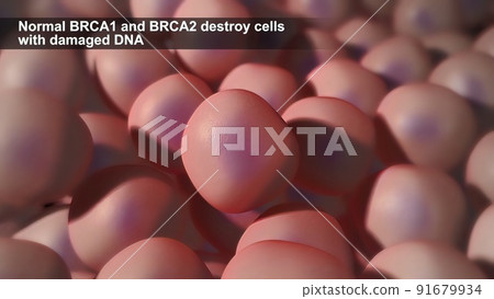 Defects due to DNA damage lead to tumor and cancer formation and death of healthy cells. Defects due to DNA damage lead to tumor and cancer formation and death of healthy cells. 91679934