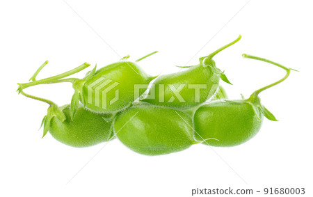 Green chickpeas in the pod, isolated on white background. Cicer arietinum. Clipping path. Green chickpeas in the pod, isolated on white background. Cicer arietinum. Clipping path. 91680003