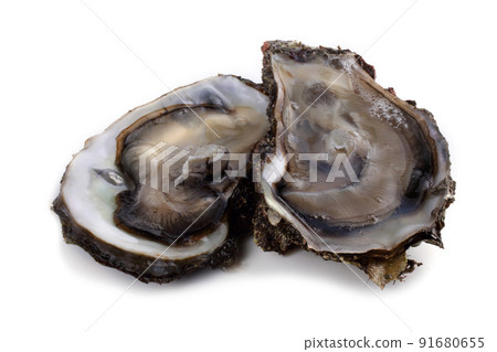 Oysters isolated on white 91680655
