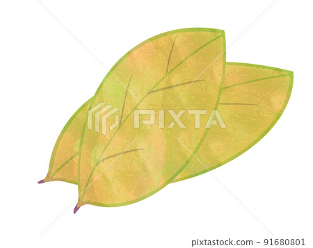 Illustration of autumn leaves with yellow autumn leaves Illustration of autumn leaves with yellow autumn leaves 91680801