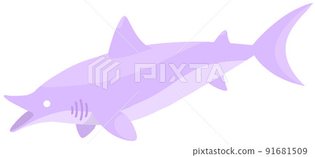 埃德斯圖斯 埃德斯圖斯 91681509