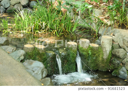 國分寺市真池泉水群 國分寺市真池泉水群 91681523