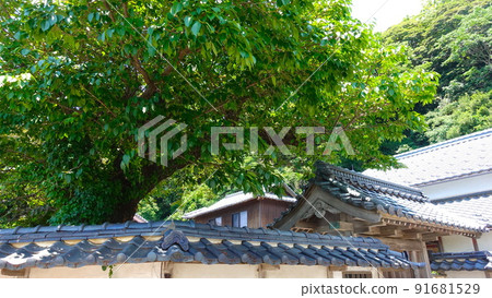 福井縣漁民町和越前町的風景 91681529