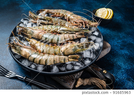Giant Black tiger prawns shrimps on a plate with ice. Raw Seafood. Blue background. Top view Giant Black tiger prawns shrimps on a plate with ice. Raw Seafood. Blue background. Top view 91685963