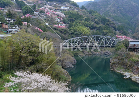 Teramurahashi Bridge over the Niyodo River Spring (Niyodogawa Town, Kochi Prefecture) Teramurahashi Bridge over the Niyodo River Spring (Niyodogawa Town, Kochi Prefecture) 91686306