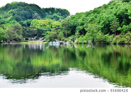 Takara-gaike and fresh green in Takara-gaike Park, Kyoto City Takara-gaike and fresh green in Takara-gaike Park, Kyoto City 91686428