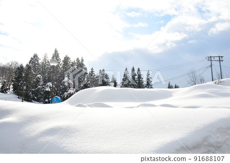 雪原圖像（新潟縣） 91688107