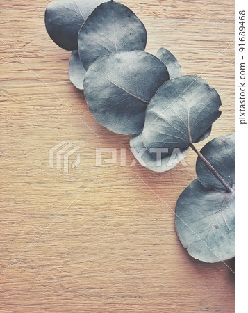 Yellow walls and leaves Yellow walls and leaves 91689468
