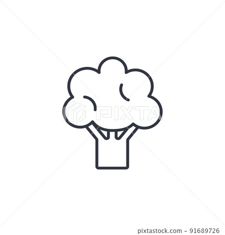 Broccoli line icon isolated vector illustration Broccoli line icon isolated vector illustration 91689726