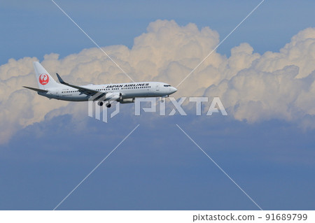 Passenger plane flying in the summer sky: Passenger plane approaching landing 91689799