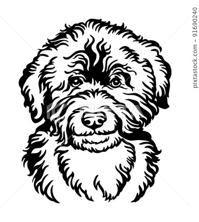 Barbet water dog vector black contour portrait 91690240