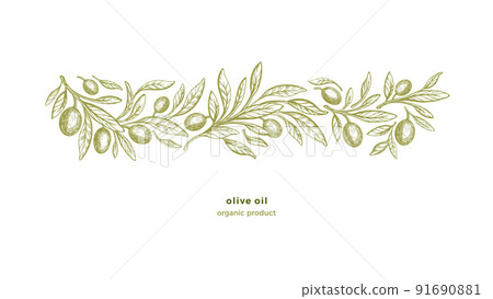 Olive tree border, print Bio oil Vintage engraving 91690881