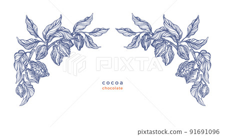 Cocoa texture border. Ornament of fruit, branch 91691096