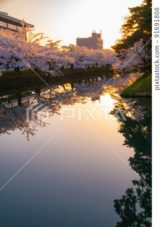 青森縣弘前市黃昏的弘前公園外堀 青森縣弘前市黃昏的弘前公園外堀 91691808