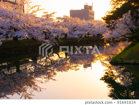 青森縣弘前市黃昏的弘前公園外堀 91691814