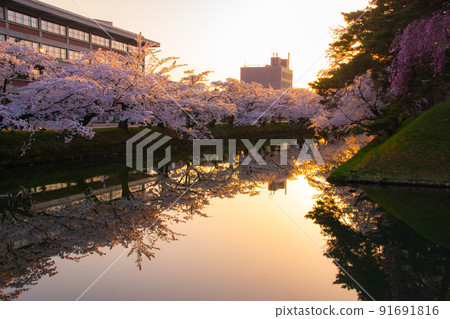 青森縣弘前市黃昏的弘前公園外堀 青森縣弘前市黃昏的弘前公園外堀 91691816