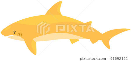 Smalltooth sand tiger 91692121