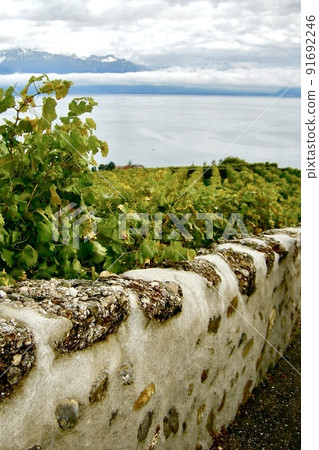 Swiss Lavau District 91692246