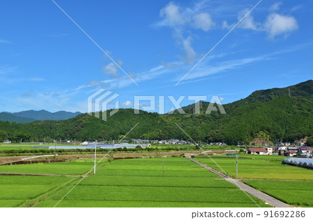 Shishikui風景德島 Shishikui風景德島 91692286