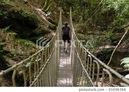 Portrait of a woman at a wooden suspension bridge over a small creek valley in the woods 91696366