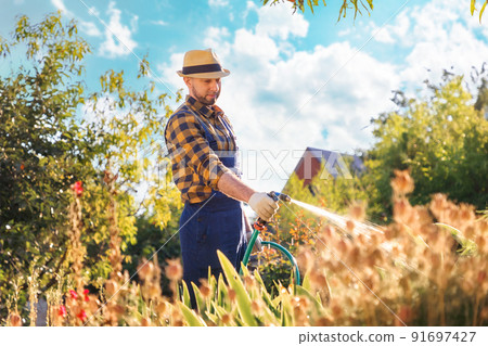 Ecofarm. A bearded, handsome young gardener in uniform and a straw hat, hosing plants and flowers. In the background there is a backyard and a garden. The concept of gardening and horticulture 91697427