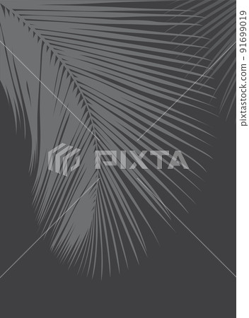 Gray color of tropical leaves pattern style on dark gray color background, flat line vector and illustration. Gray color of tropical leaves pattern style on dark gray color background, flat line vector and illustration. 91699019