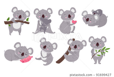 Cartoon koalas. Cute australia bear sleep, wild koala on a branch and animal with baby vector illustration set 91699427