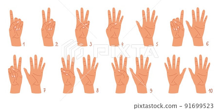 Cartoon hands count gesture, human wrist finger numbers. Vector illustration set Cartoon hands count gesture, human wrist finger numbers. Vector illustration set 91699523