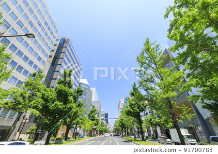 Shinsaibashi, Chuo-ku, Osaka City Midosuji in early summer 91700783