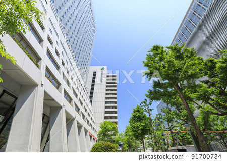 Shinsaibashi, Chuo-ku, Osaka City Midosuji in early summer 91700784