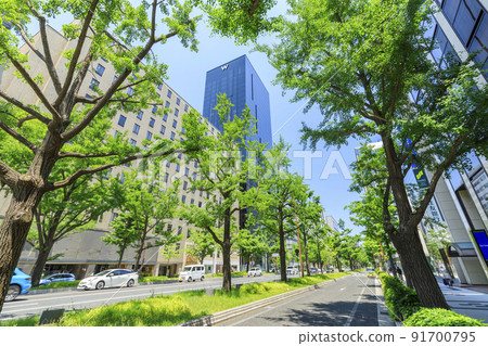 Minamisenba, Chuo-ku, Osaka City Midosuji in early summer Minamisenba, Chuo-ku, Osaka City Midosuji in early summer 91700795