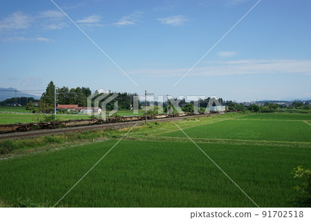 JR East Tohoku Main Line train 91702518