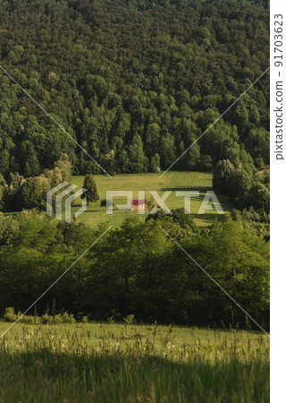 Small House on Woody Mountain Valley 91703623