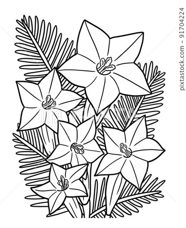 Cypress Flower Coloring Page for Adults 91704224