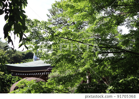 十元寺(橫濱市保土谷區保土谷町) 十元寺(橫濱市保土谷區保土谷町) 91705368