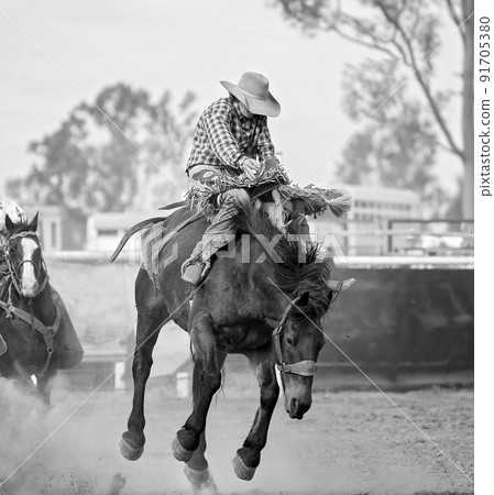 Cowboy On Bucking Bronco At Rodeo 91705380