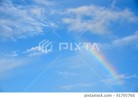 Amami Oshima: Blue sky and rainbow after the rain 91705768