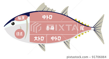 金槍魚部分 金槍魚部分 91706864