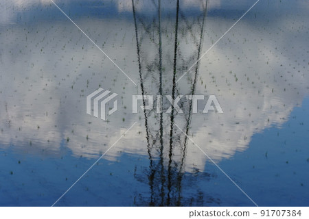 一座鋼塔矗立在稻田倒映的雲朵中 一座鋼塔矗立在稻田倒映的雲朵中 91707384