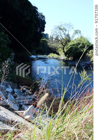 Image of a river rich in nature 91707386