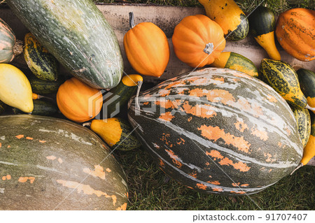 Pumpkins Halloween home decor on ground. Halloween and Thanksgiving decoration for home 91707407
