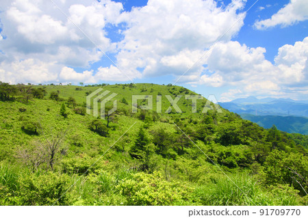 Takabotchi Highlands (Nagano Prefecture, Okaya City, Shiojiri City) 91709770