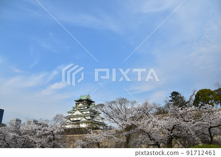 日本春天的大阪城公園，盛開的櫻花和宏偉的城堡塔周圍的城市景觀和摩天大樓 91712461