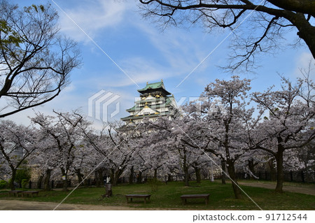 日本大阪府春天大阪城公園櫻花盛開、藍天和宏偉的城堡塔 91712544